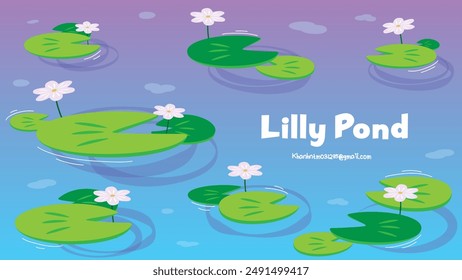 Lilly on the pond, water pond with Lilly flower background