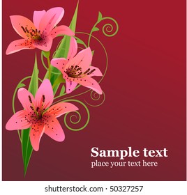 Lilly on red background