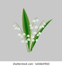 Lilly of the valley. Hand drawn vector illustration of white spring flowers and foliage. Bunch element on white for greeting card, poster, invitation, art print, wedding, banner, 8 march, easter.