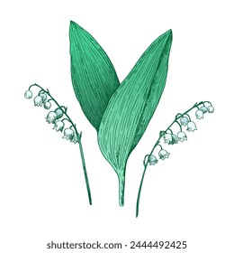 Lilly of the valley illustration in retro etching style isolated on white background. Vector illustration.