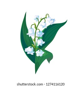 Lilly of the valley - May bells, Convallaria majalis with green leaves on a white background.Spring flower.Hand drawn realistic vector illustration.