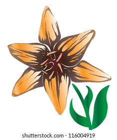 lily