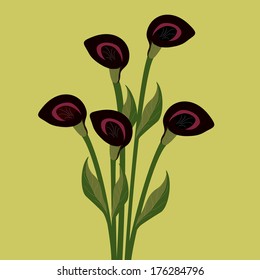 Lily