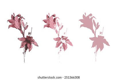 Lily