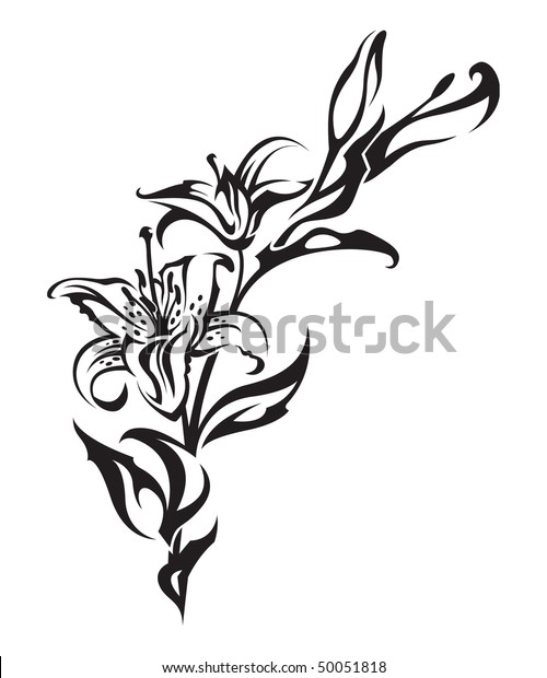 Lily Stock Vector (Royalty Free) 50051818