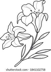 diseño de tatuajes de lily artwork