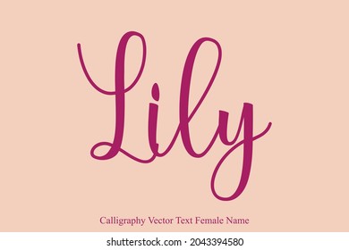 Lily Baby Girl name - in Stylish Victor  Cursive Typography Text