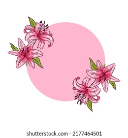 Lily background, with pink lily flowers, vector illustration, on a white background