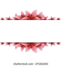 Lily Banner On White Background Stock Vector (Royalty Free) 241580602