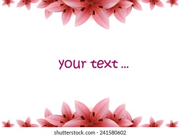 Lily Banner on a white background