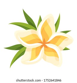 Lily blooming flower. Beautiful yellow plant. Floral design element for decoration of wedding invitations, postcards, greeting cards. Blossom lily isolated on white background.