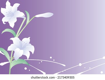 Lily Blossom Purple Template Background