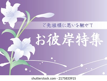 Lily Blossom Purple Template Background
Translation: Thinking Of Your Ancestors.
Special Feature On The Equinoxes.