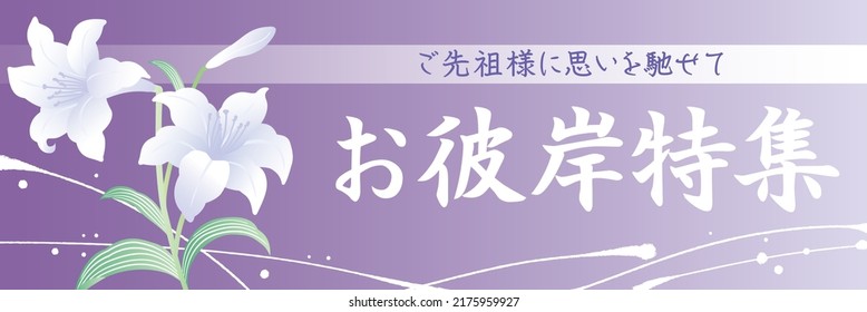 Lily Blossom Purple Template Background
Translation: Thinking Of Your Ancestors.
Special Feature On The Equinoxes.