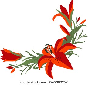  Lily border flower floral clipart