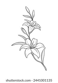 Lily branch flowers hand drawn line art tattoo design isolated vector illustration