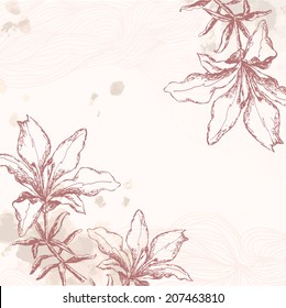 lily card.  frame