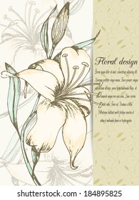 lily design card Vector illustration can be used for website background and greeting cards or cover decoration