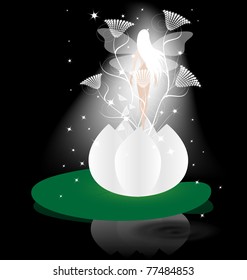 lily fairy