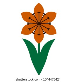 Lily flat illustration on white