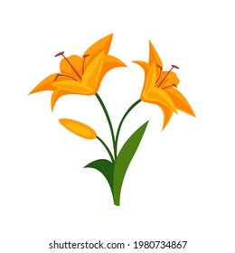 Lily Flat Vector icon.  Lily branch with two flowers and a bud, orange and yellow flowers. Vector flat style, cartoon illustration.
