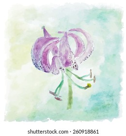 Lily floral background