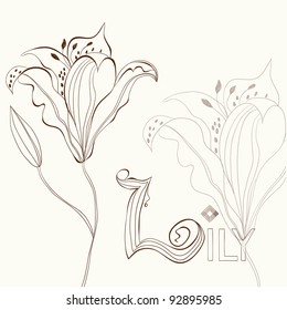 Lily flower