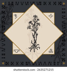 lily flower alchemical symbol design engraving vector illustration in vintage old medieval style