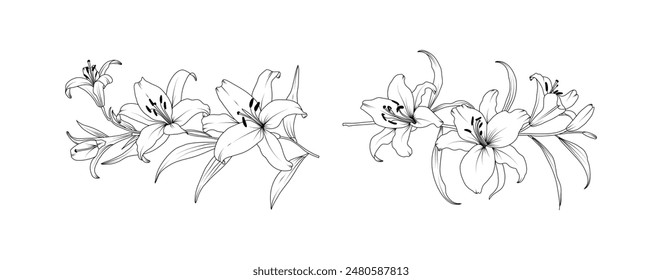 Lily flower arrangement line art on white background. Silhouette lilies botanical hand drawn element for wedding, invitation frame design, vector illustration.