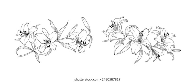 Lirio flor arreglo arte de línea sobre fondo blanco. Elemento botánico dibujado a mano de los lirios de la silueta para la boda, diseño del marco de la invitación, Ilustración vectorial.