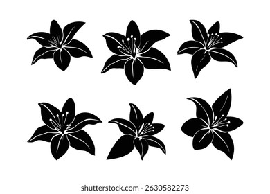 Lily Flower Art Set Vector Floral Botanical Bundle Design