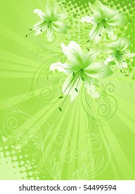 lily flower background