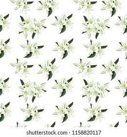 Lily flower background seamless