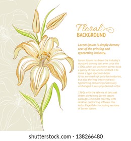 Lily flower background. Vector illustration