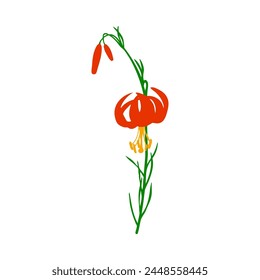 Flor de lirio. Hermosa flor para hacer diseños de prados de verano y primavera. Ilustración vectorial.