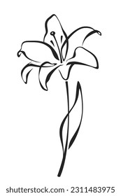 Lily flower. Black line drawing of lily flower isolated on a white background. Vector line art illustration