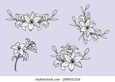 Lily Flower black and white line art Floral Bouquet
