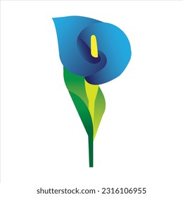 Lily flower with blue colour 