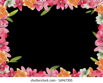 Lily flower border