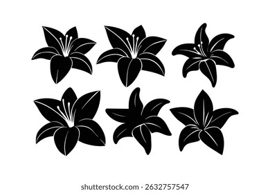 Lily Flower Botanical Floral Vector Art Set 