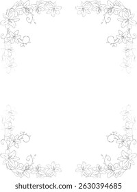 lily flower botanical frame and border