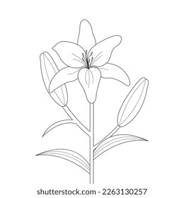 Lily Flower Coloring Page And Book Hand Drawn Line Art Illustration Beautiful Flower Black And White Pink Lily Drawing Vector