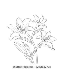 Lily Flower Coloring Page And Book Hand Drawn Line Art Illustration Beautiful Flower Black And White Pink Lily Drawing Vector