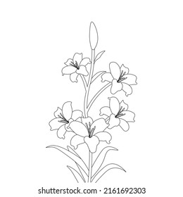 lily flower coloring page drawing for kids activities art with line drawing illustration