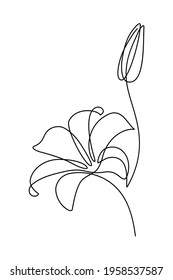 Lily flower in continuous line art drawing style. Lilium flower and a bud black linear design isolated on white background. Vector illustration