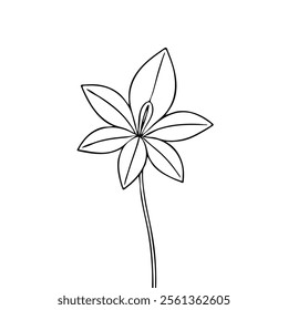 Lily flower in continuous line art drawing style. Lilium flower and a bud black linear design isolated on white background. Vector illustration