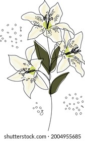 Lily flower in continuous line drawing and coloring. Modern minimalist line art. Vector illustration.