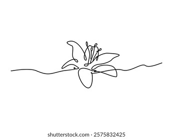 lily flower continuous lineart vector illustration on transparent background