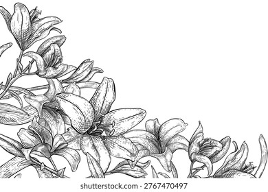 Lily flower corner frame hand drawn vector engraving style. Black and white monochrome floral illustration. Decorative border with blooming lilies for wedding invitation or sympathy memorial template.