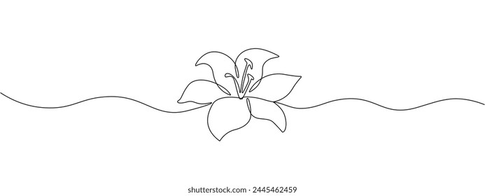 Una flor de lirio dibujada con una línea editable continua. Flor lineal. Ilustración vectorial.